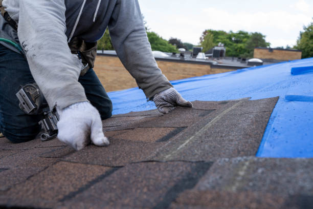 Best Metal Roofing Contractor  in Fort Montgomery, NY